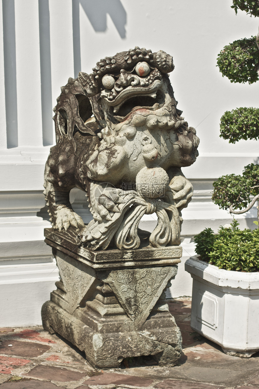 雕像植物旅行古董佛教徒精神连体旅游蟾蜍寺庙石头图片
