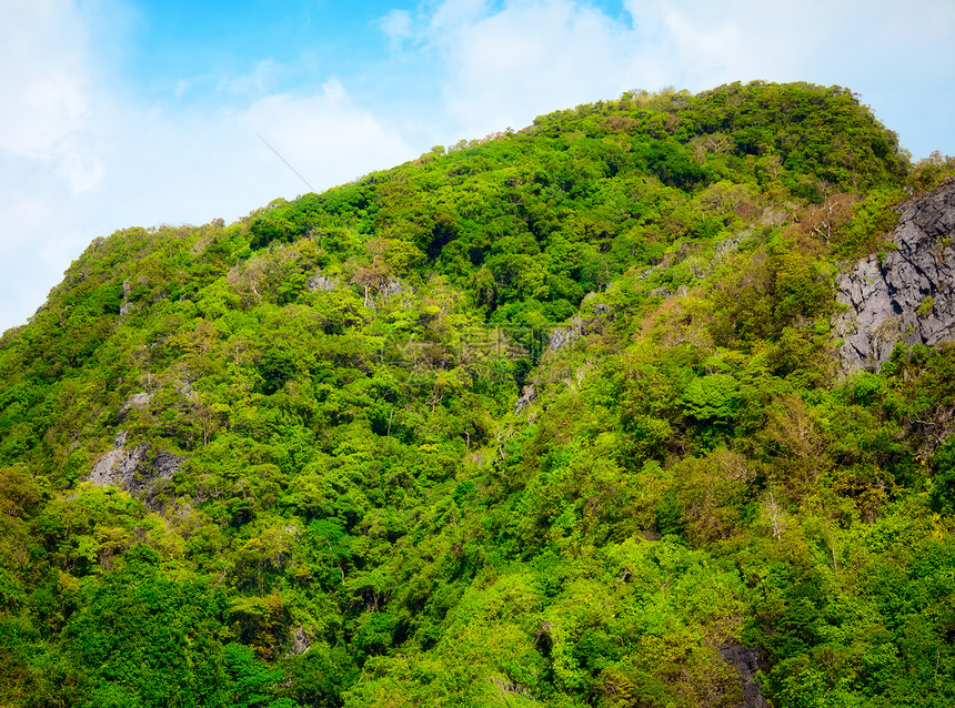 泰国山晴天环境国家生态农村支撑悬崖阳光风景灌木丛图片