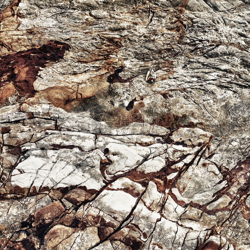 岩石纹理裂缝巨石石灰石地质学石头海滩细胞照片支撑卵石图片