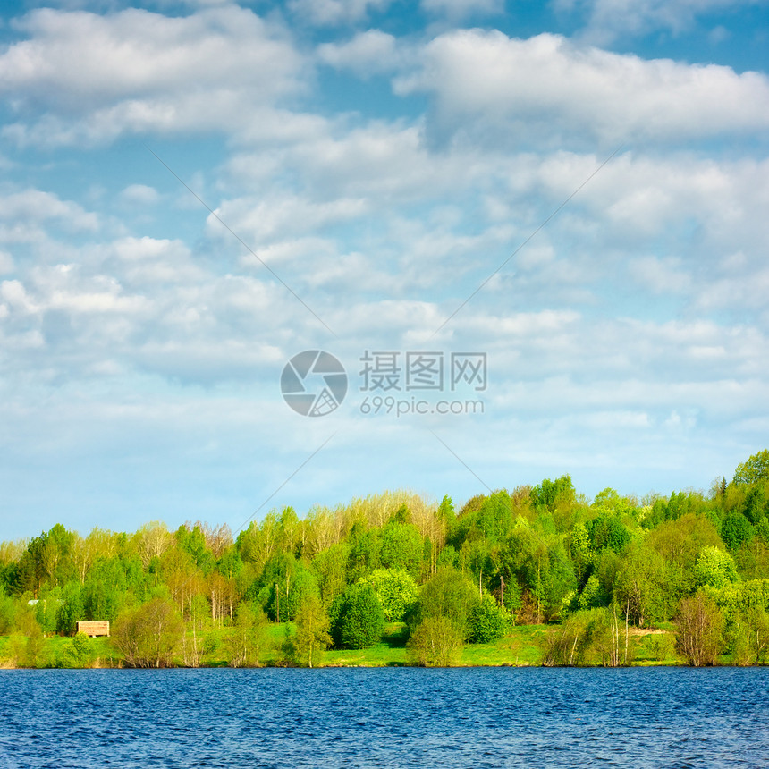 湖上森林松树国家叶子旅游沼泽正方形林地场景环境照片图片