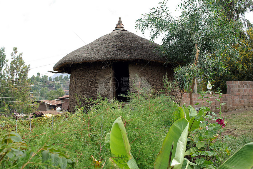 埃塞俄比亚的哈特农村建筑学橄榄玉米国家房子乡村花园村庄棒子图片
