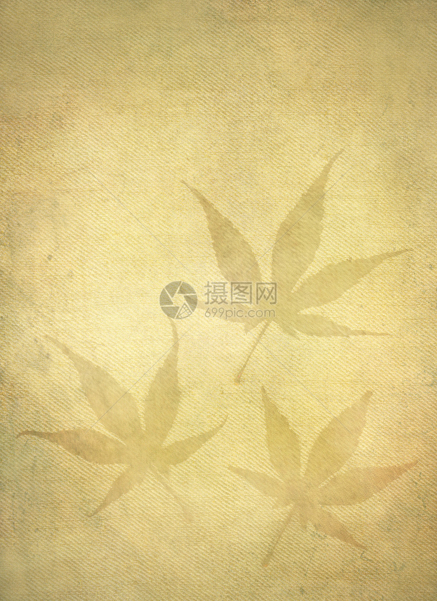 背景背景日本红树叶图片