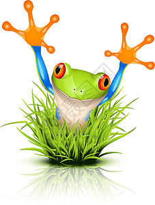 绿色树蛙草地上的小树青蛙插画