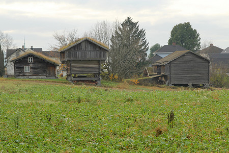旧木材农场背景图片