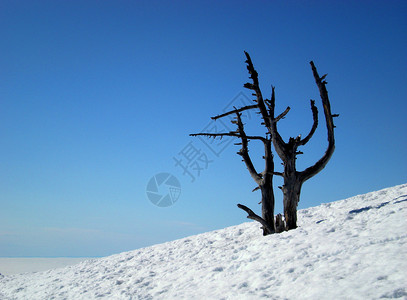 冬季风景高地沙漠背景图片