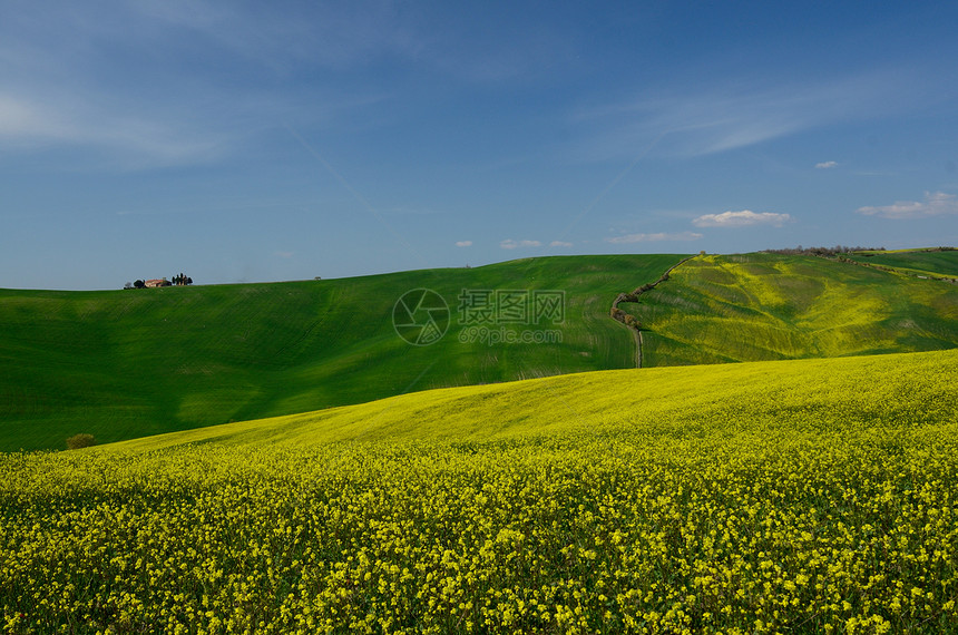 Val dOrcia土库曼斯坦蓝色土地油菜籽景观草地田园植物场地黄色天空图片