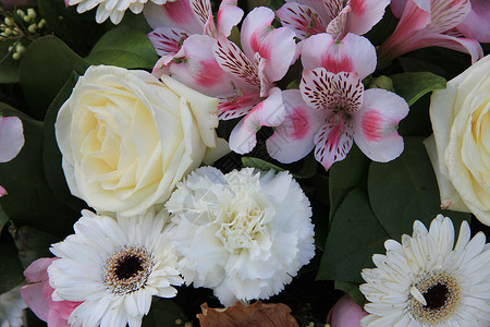 混合白花束绿色花朵花店玫瑰植物白色粉色花瓣植物群背景图片