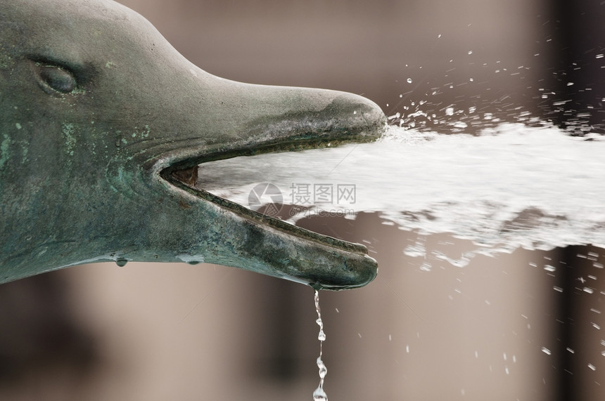 海豚喷泉图片
