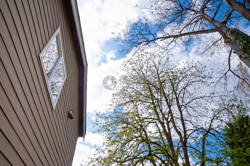 房子和天空住宅财产建筑建筑学玻璃树木窗户壁板图片