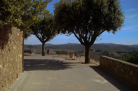 托斯卡纳树木丘陵长凳长椅文化公园美化风景背景图片
