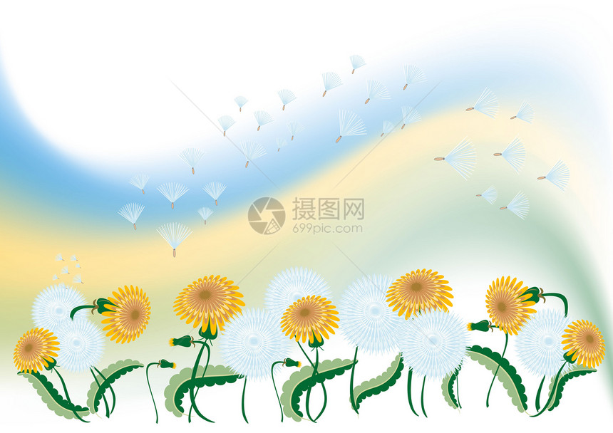 与 dandelion 一起的精细背景摘要风格绘画蓝色体积电脑太阳漩涡插图叶子曲线图片