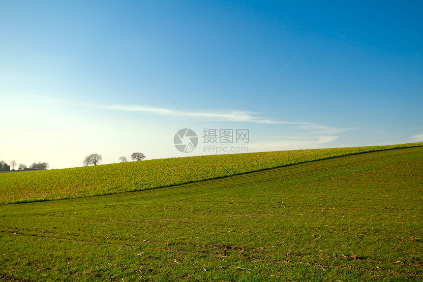 绿色和蓝色场地天空草地曲线牧场图片