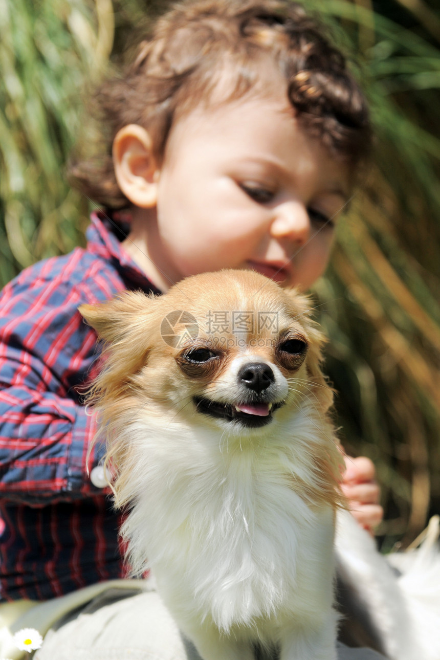 吉瓦华人花园男生宠物伴侣动物孩子棕色婴儿白色友谊图片