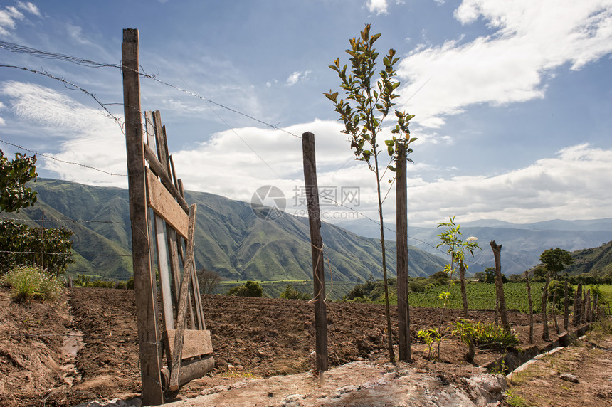 厄瓜多尔安第斯山脉的种植田 土地植被旅行地区山脉赤道假期农业热带图片