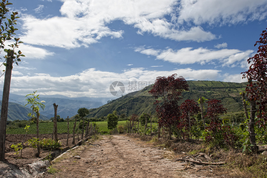 厄瓜多尔安第斯山脉的种植田 土地假期植被农业地区旅行赤道热带图片