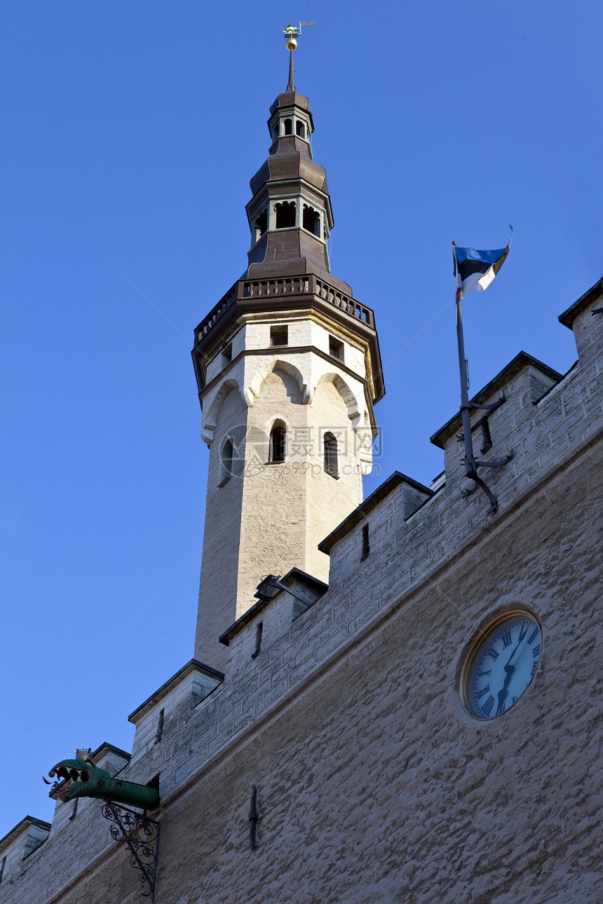 塔林市政厅尖塔城市景点首都蓝天旅行旅游地标广场历史图片