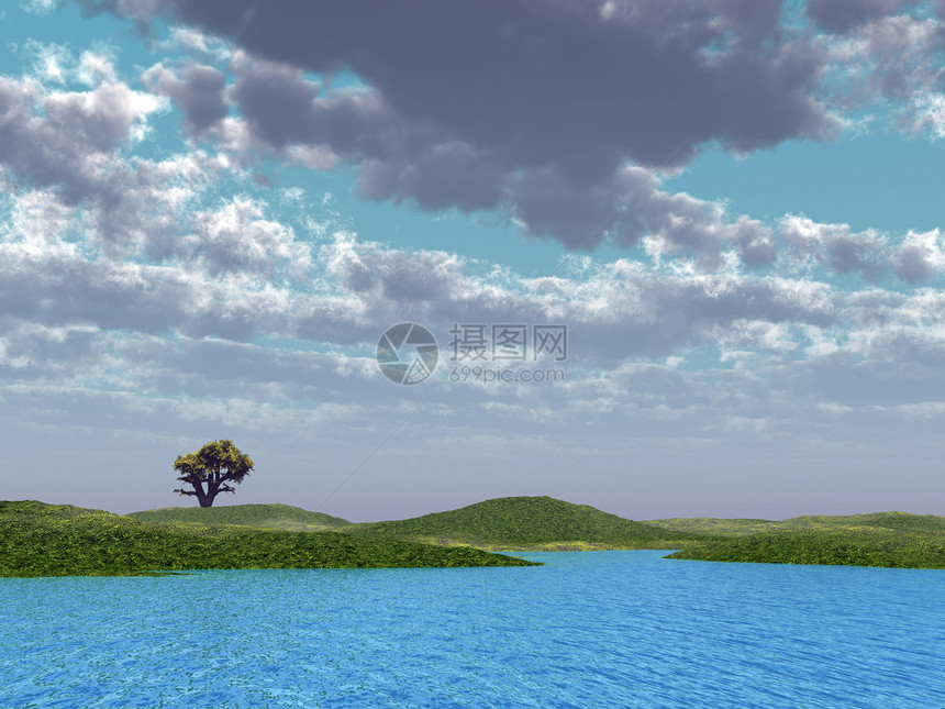 在蓝水和阴云的天空背景下 独自在田地上耗花一棵树图片