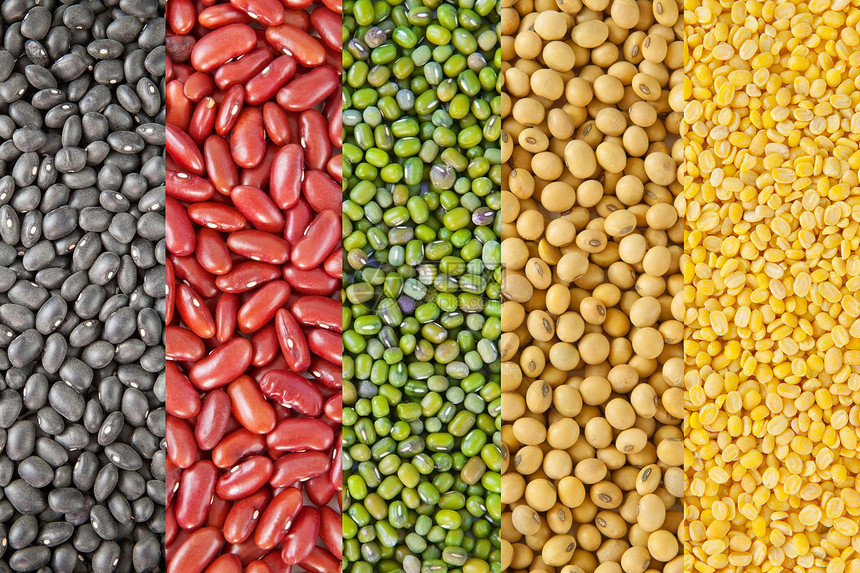 豆豆收集收藏食物豆类粮食营养大豆豆子饮食团体种子蔬菜图片