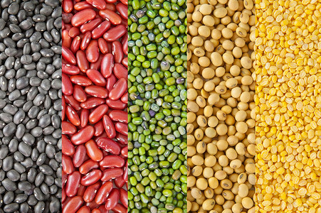 豆豆收集收藏食物豆类粮食营养大豆豆子饮食团体种子蔬菜背景图片