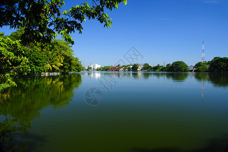 热带湖泊风景水平树木晴天绿色高清图片