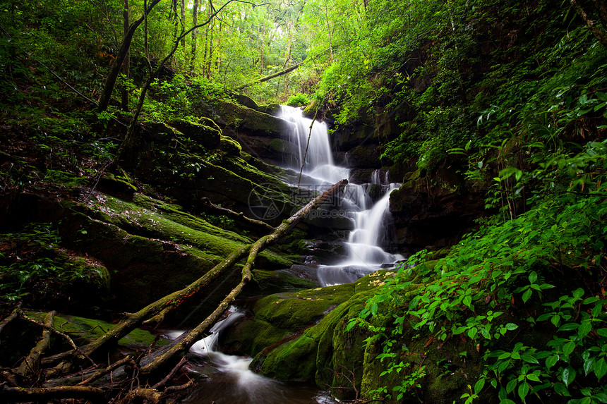 下瀑瀑布木头风景美丽岩石树木溪流叶子公园荒野瀑布图片