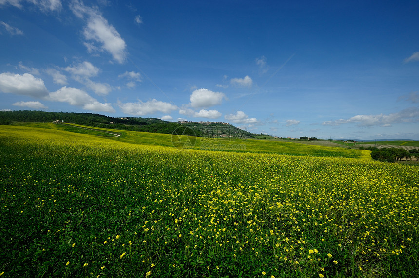 克里特塞内西场景植被草原季节环境植物场地国家农场风景图片