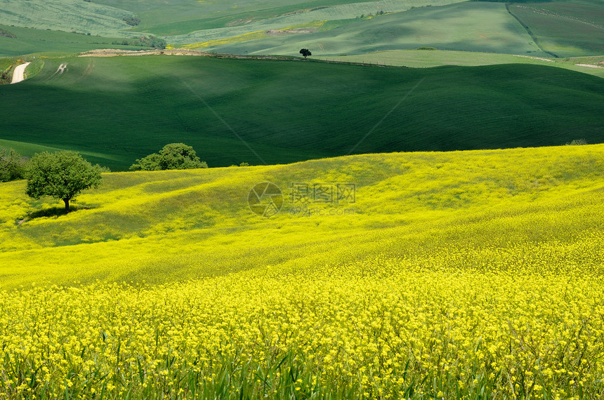 Val dOrcia土库曼斯坦环境农场日落全景植被风景农村爬坡草原意大利人图片