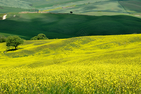 Val dOrcia土库曼斯坦环境农场日落全景植被风景农村爬坡草原意大利人背景