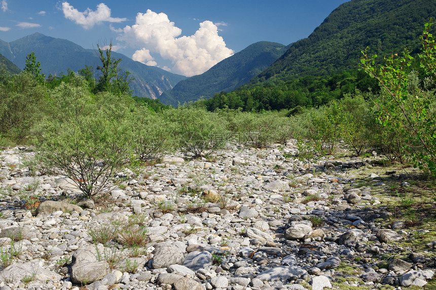 河谷生物旅游气候植物植被绿色生长岩石环境晴天图片