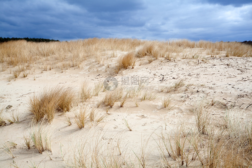 沙丘风景爬坡道海滩旅行天空风暴白色植物天气海岸图片