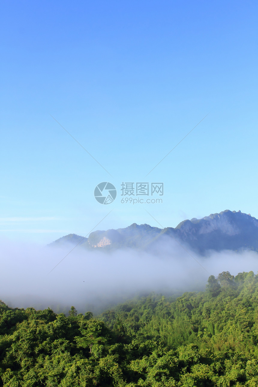 泰国山上大气的清晨种植园树木辉光气氛日出线条植物荣耀车道爬坡图片