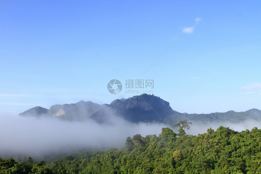泰国山上大气的清晨荣耀薄雾车道辉光气氛纹理蓝天植物线条森林图片