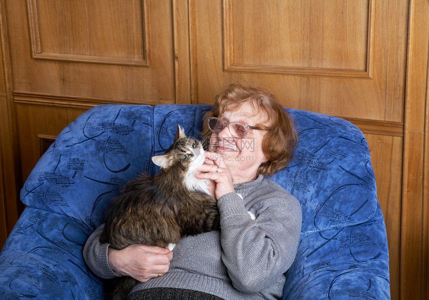 老女人坐在扶手椅上 摸猫图片