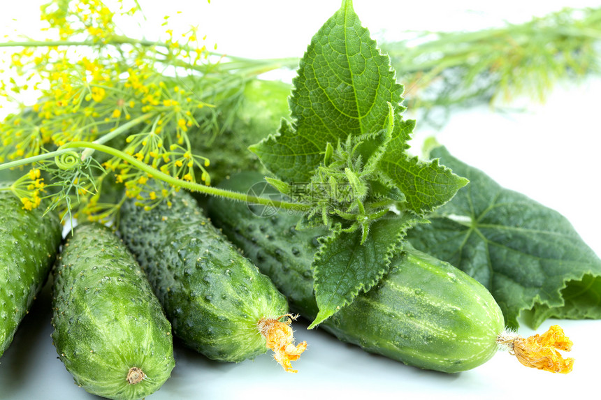 绿黄瓜与叶叶分离收成维生素叶子食物团体绿色营养膳食生活蔬菜图片