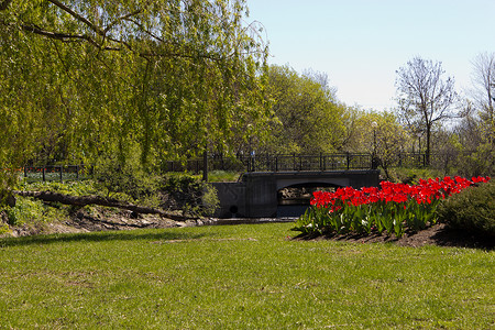 美丽的公园 有花床和小溪花朵水平环境叶子风景花坛场景言辞晴天阳光背景图片