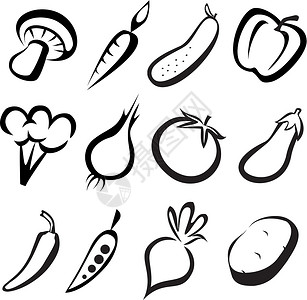 夏南瓜蔬菜图标草图设计图片