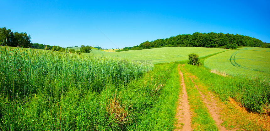 蓝天上的绿地场地季节蓝色生长环境植物农场文化季节性土地图片