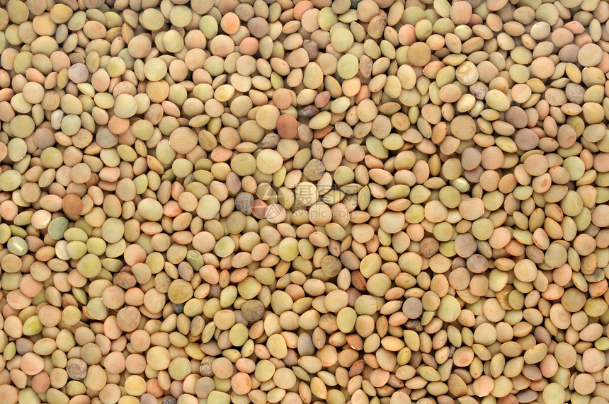 褐扁豆背景图片