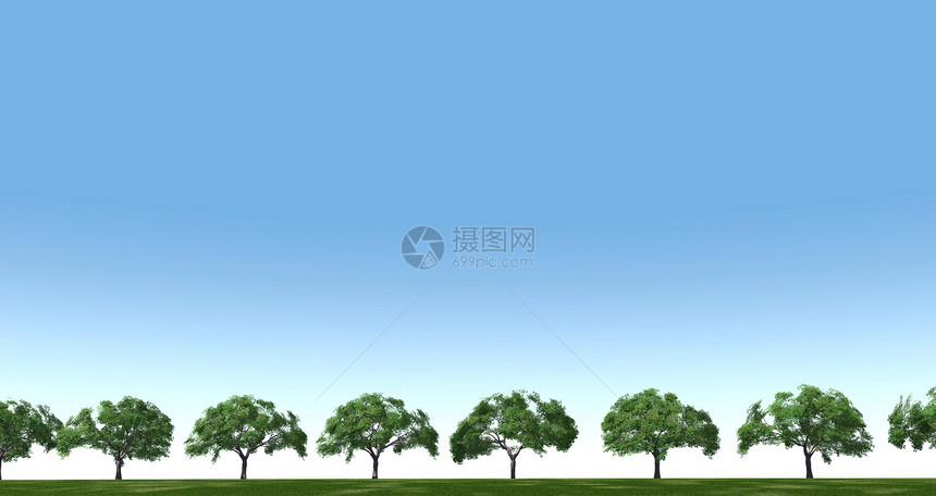 夏季在背景清空的天空中 树地上的树木图片