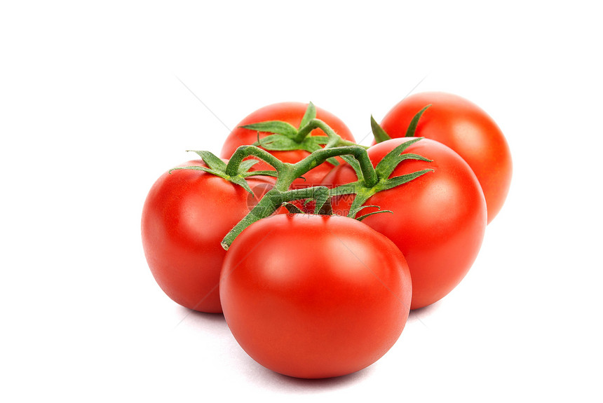 红番茄枝食物工作室水平团体农业白色绿色红色植物美食图片
