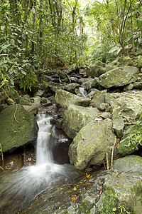 波多伊瀑布Water Fall 水池雨林公园热带照片瀑布岩石背景