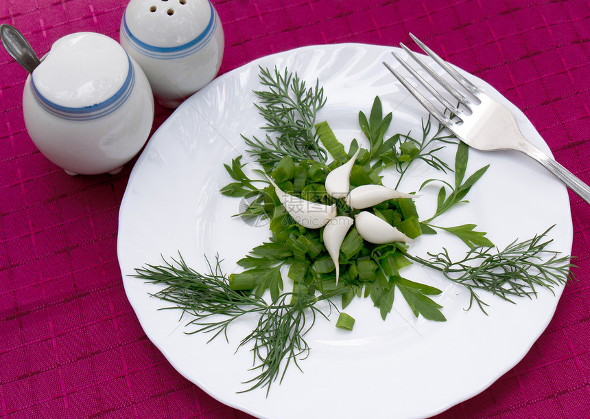 从绿色蔬菜中新鲜开胃沙拉桌子午餐盘子餐厅香菜茴香小吃食物菜单金属图片