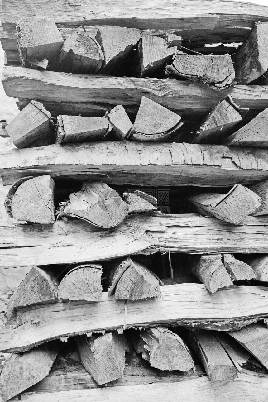 堆积在洞穴之上的干切木柴木木原的背景木材库存生长森林燃料木头林业壁炉松树树干图片
