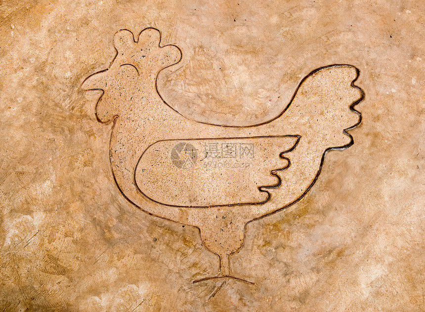 水泥地板上鸡的铁板条线图片