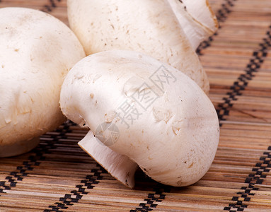 原白色香皮尼翁蘑菇闭合高清图片
