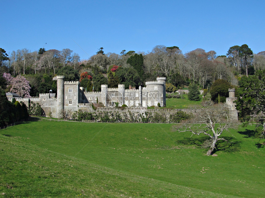 角墙Caerhays城堡历史性历史花园堡垒王国英语风景遗产树木富豪图片