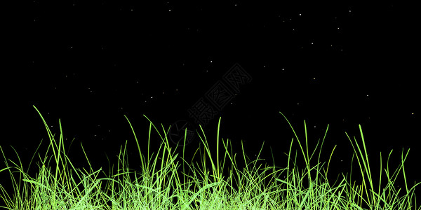 绿草草甸天文学公园黑色绿色宏观植物背景图片