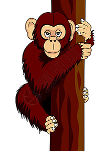 木柱有趣的黑猩猩水果动物动物园插图荒野哺乳动物热带木头森林乐趣插画