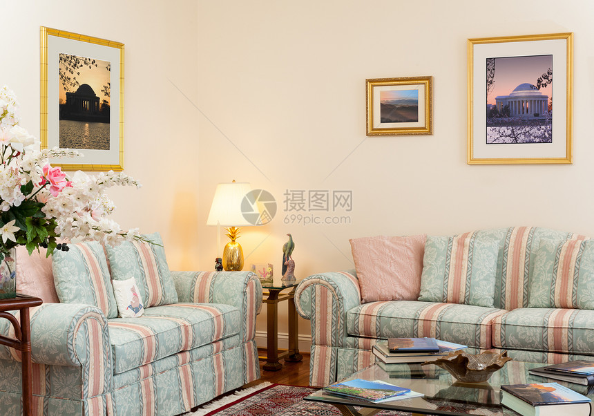 配沙发的现代客厅装饰风格建筑学枕头住宅印刷地面房间休息室地毯图片