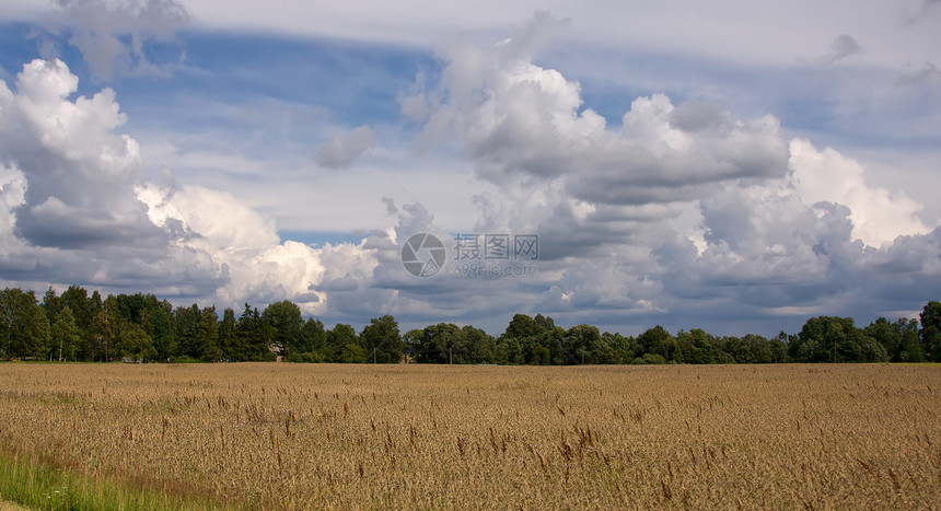 立陶宛夏季陆地天空地平线场景绿色牧场风景蓝色场地乡村全景阳光环境图片